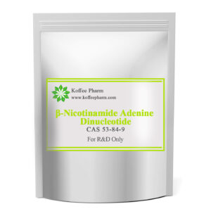 β-Nicotinamide Adenine Dinucleotide