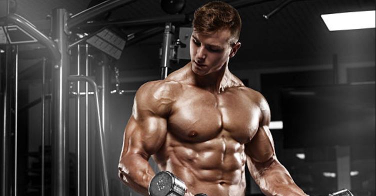 muscle-lgd-3033